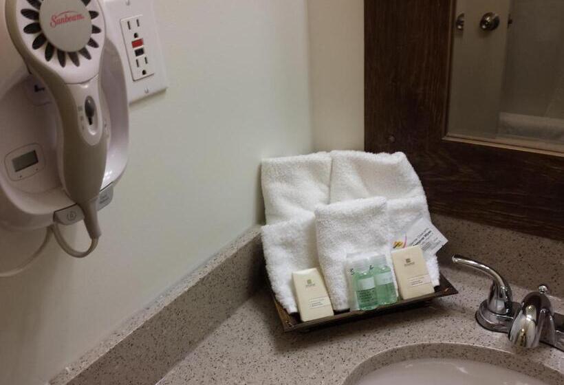 스탠다드 룸, Vacances Tremblant