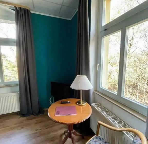 Standard Yhden Hengen Huone, Parkhotel Waldschlösschen
