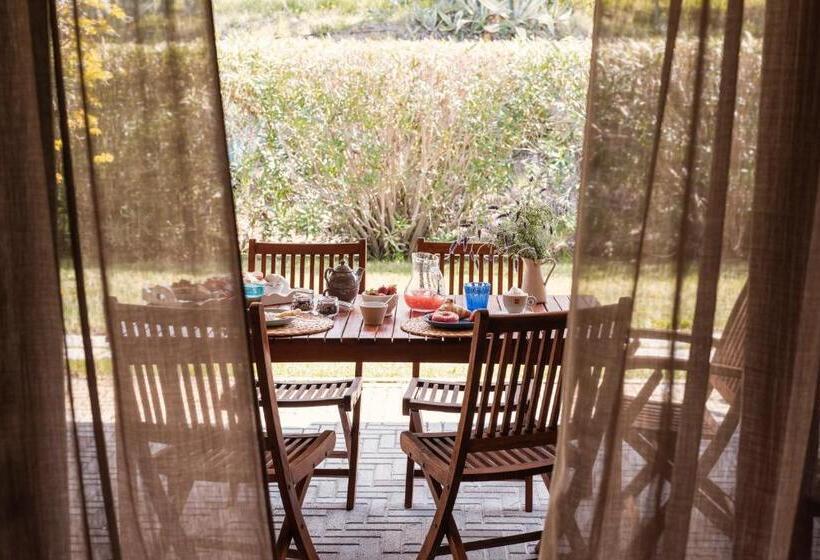 标准工作室, Agriturismo Podere L'agave