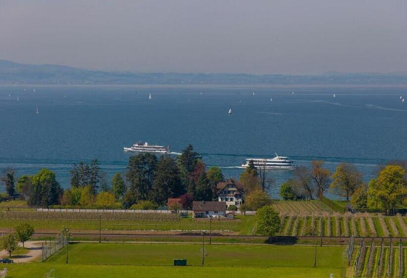阁楼套房, Bodensee Hotel Sonnenhof