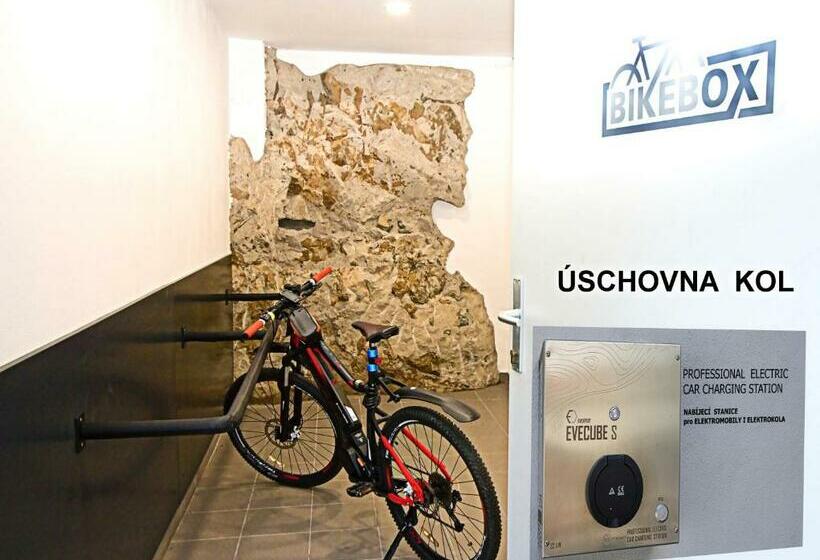 غرفة قياسية, Gourmet Hotel Villa Patriot