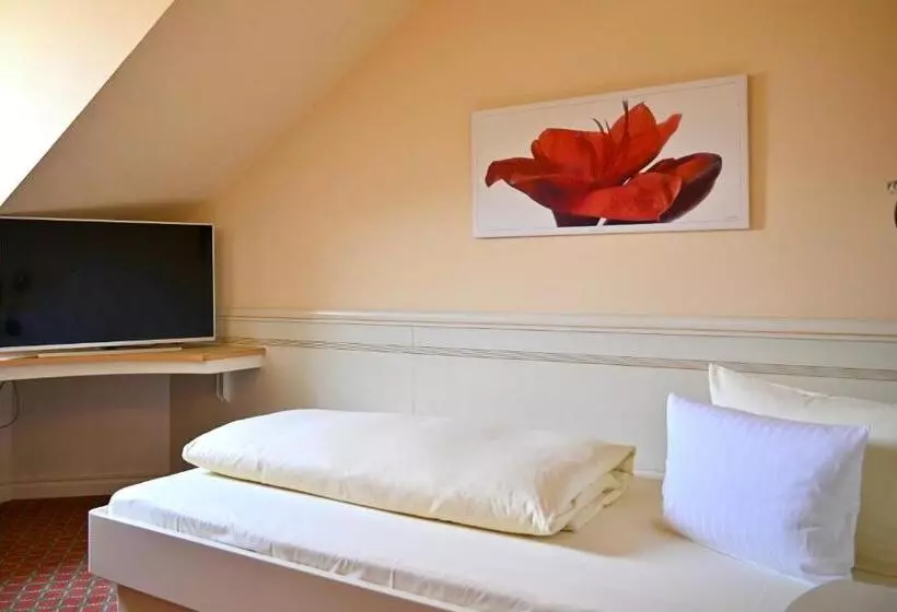 اتاق استاندارد یک نفره, Dreiflüssehof