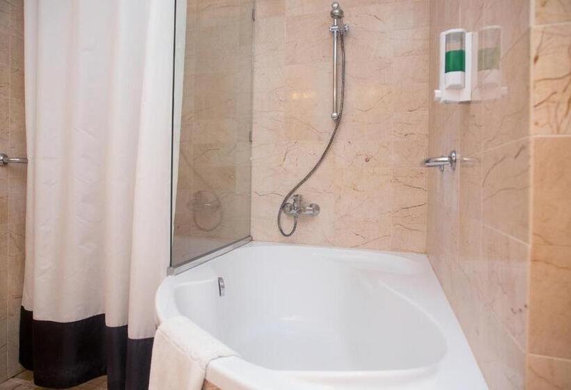 شقة غرفة واحدة, Lycium Debrecen