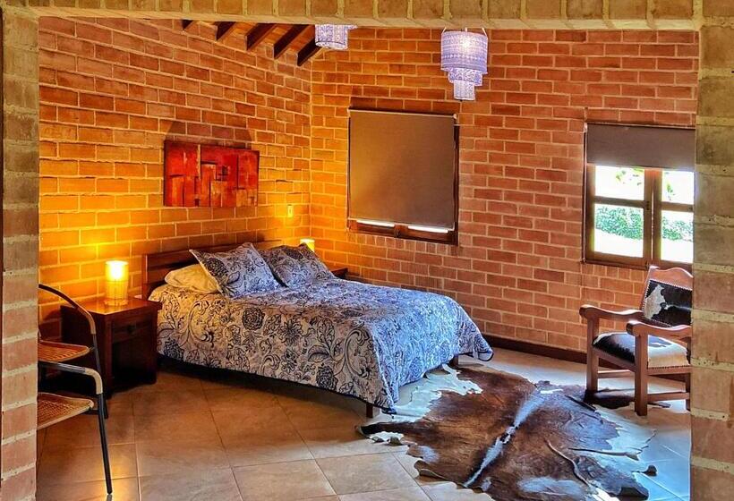 스탠다드 자쿠지 룸, Avalon Hotel Campestre