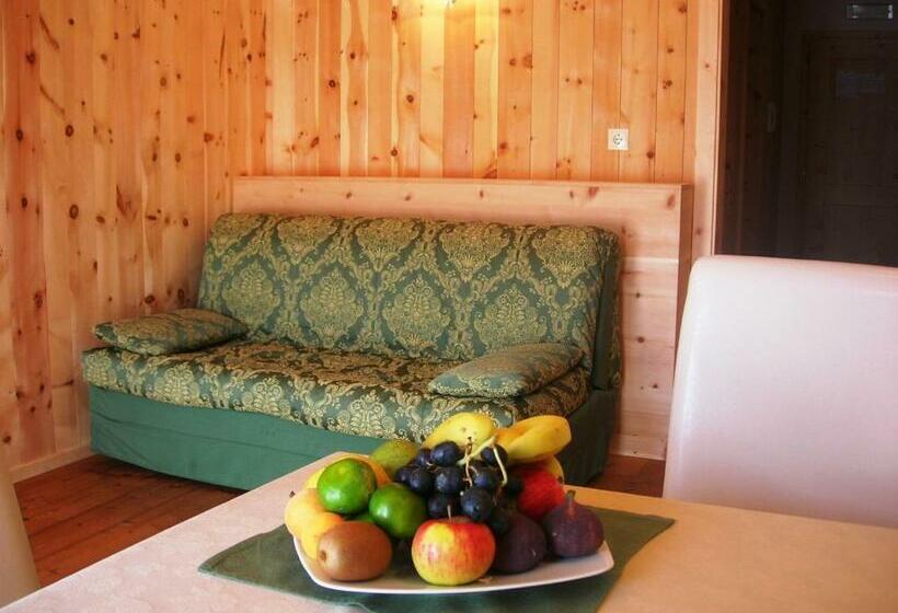 شقة غرفة واحدة, Appartments Helvetia