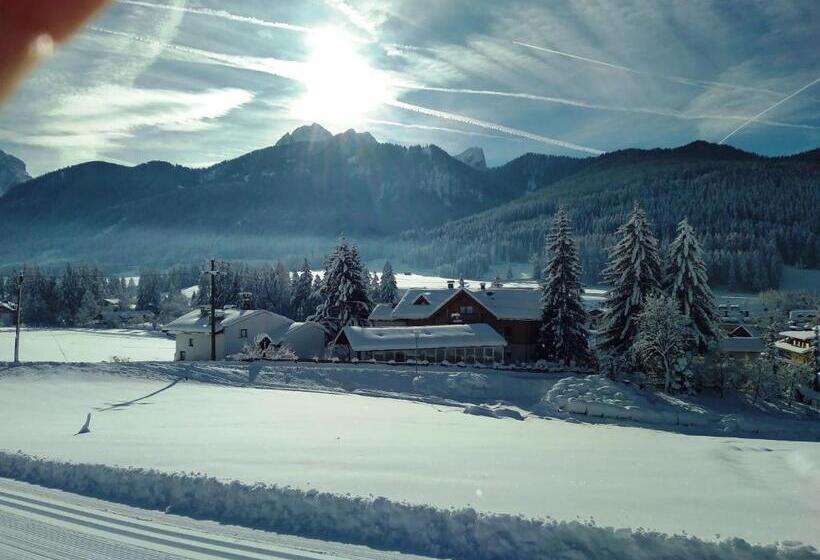 דירת חדר, Appartments Helvetia