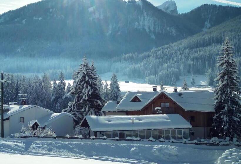 דירת חדר, Appartments Helvetia