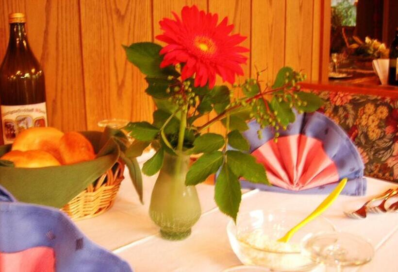 דירת חדר, Appartments Helvetia