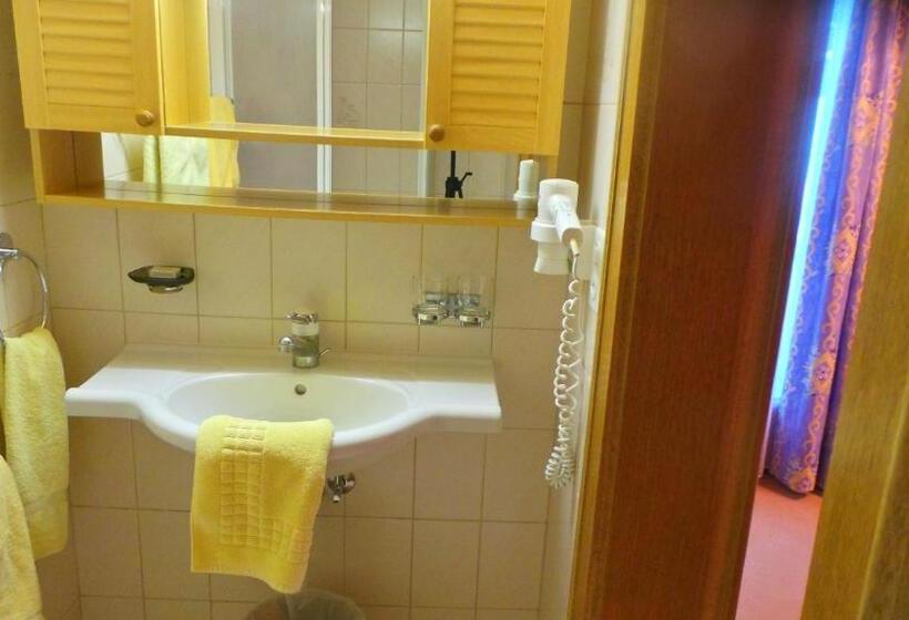 기본룸, Garni Soldanella