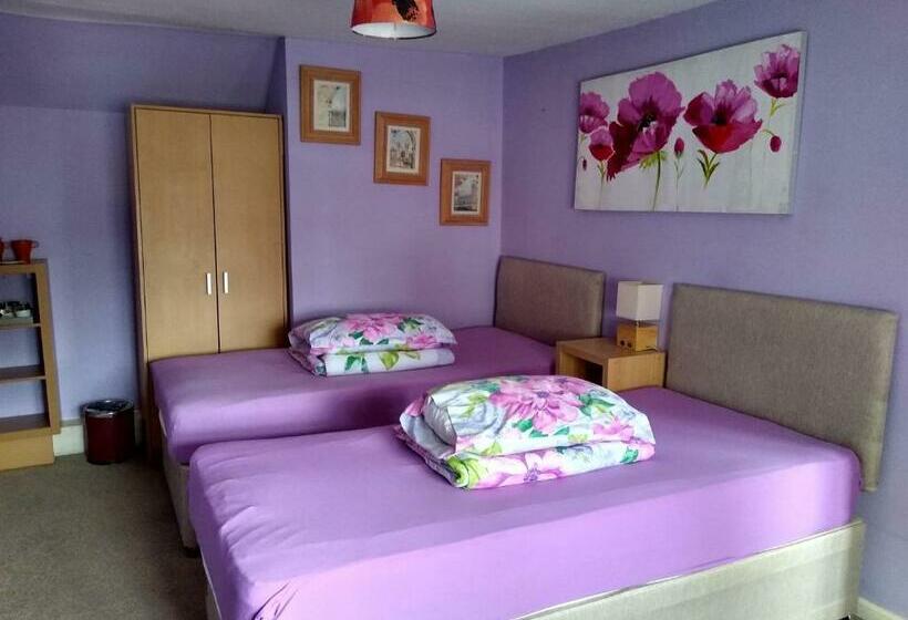 غرفة قياسية, Reindeer Accomodation