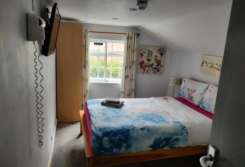 ベーシックルーム, Reindeer Accomodation