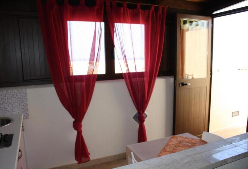 استودیوی استاندارد, Room And Breakfast Aloe