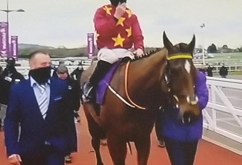 带观景的标准间, Murphy S Guesthouse