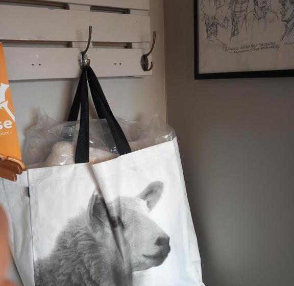 带观景的标准间, Murphy S Guesthouse