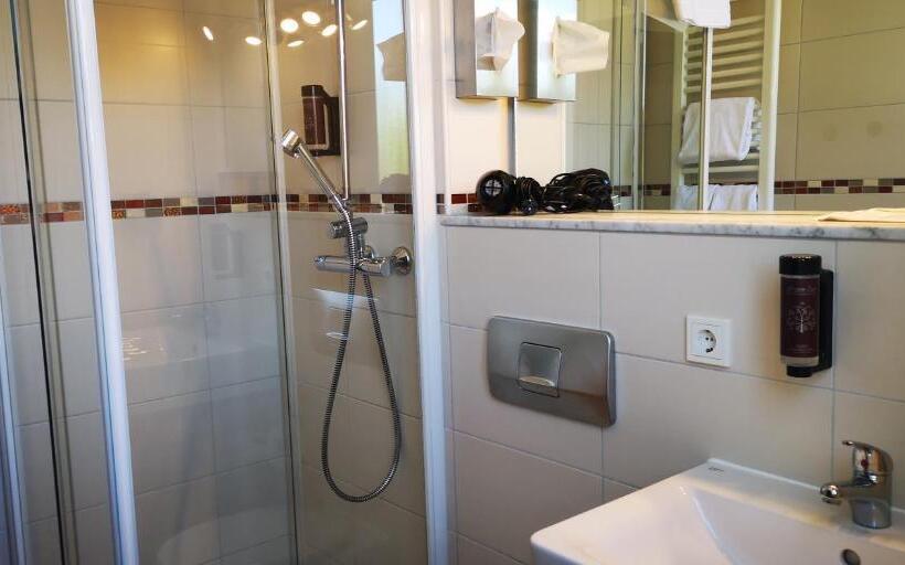 חדר סטנדרט עם מיטת קינג, Boutique Hotel & Bio Wirtshaus Schwarzer Bock