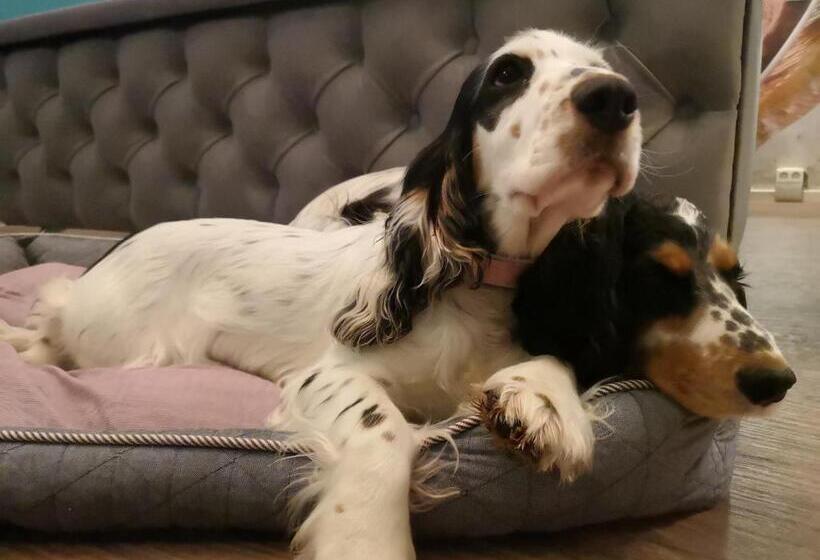 חדר סטנדרט, Boutique Hotel & Bio Wirtshaus Schwarzer Bock