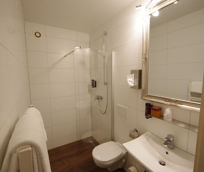 חדר סטנדרט, Boutique Hotel & Bio Wirtshaus Schwarzer Bock