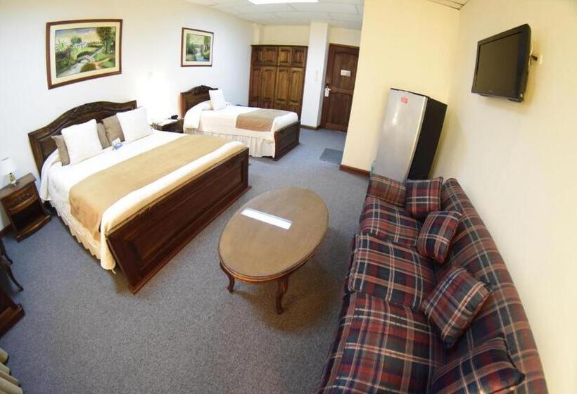 수피리어 룸, El Gran Hotel De Pereira