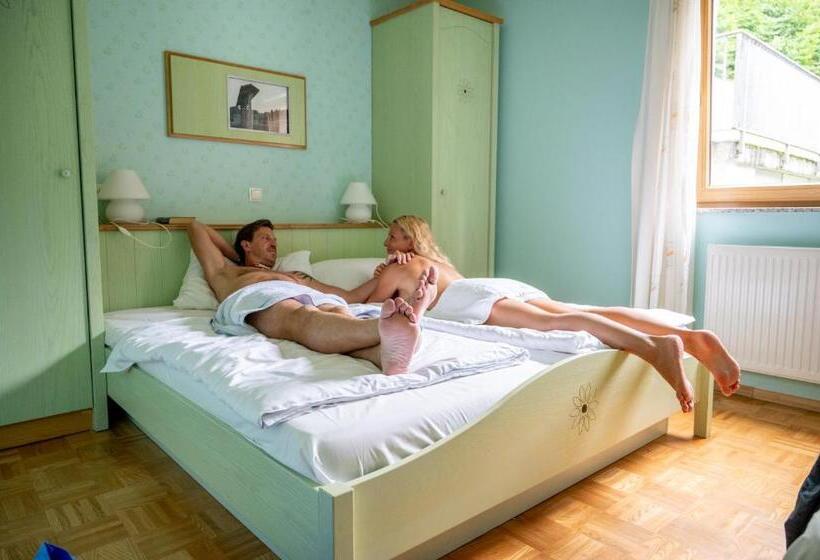 اتاق استاندارد, Eco Terme Snovik, Kamnik