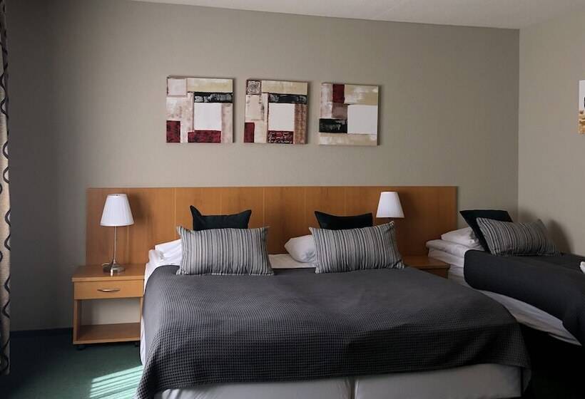 اتاق استاندارد سه نفره, Hvolsvollur Central South Iceland