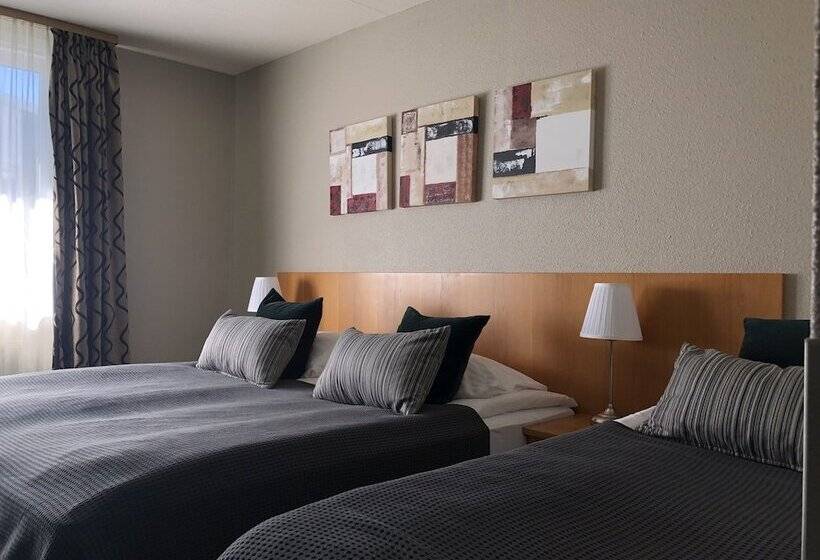 اتاق استاندارد سه نفره, Hvolsvollur Central South Iceland