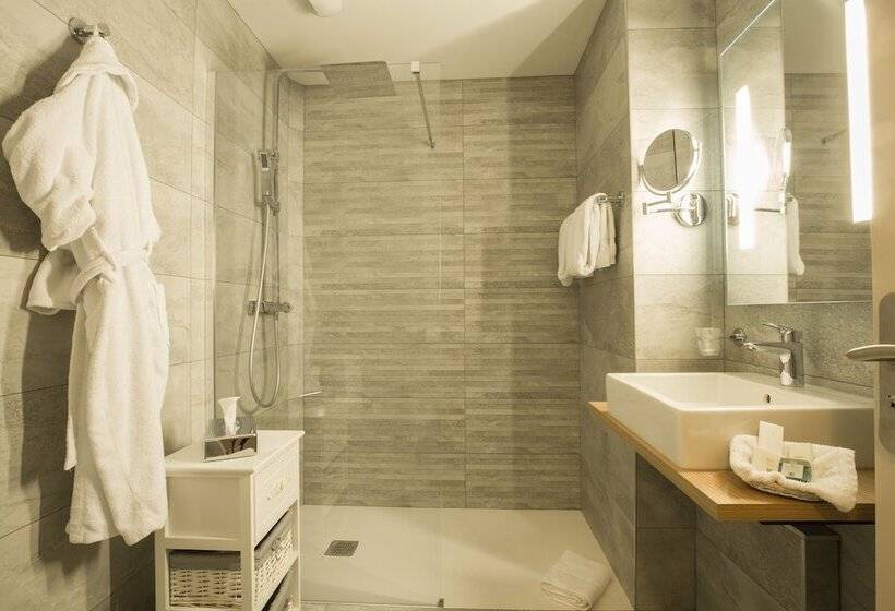 Трехместный Президентский, Logis Hotel Le Petit Casset