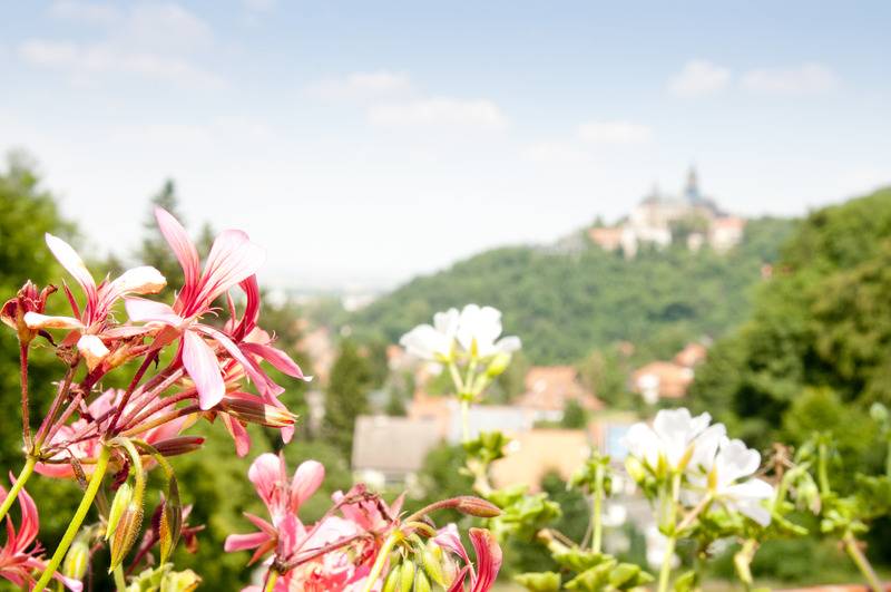 Номер Стандарт с Балконом, Regiohotel Schanzenhaus Wernigerode