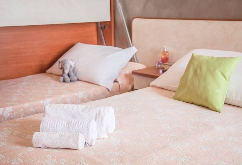 اتاق استاندارد, Sandra