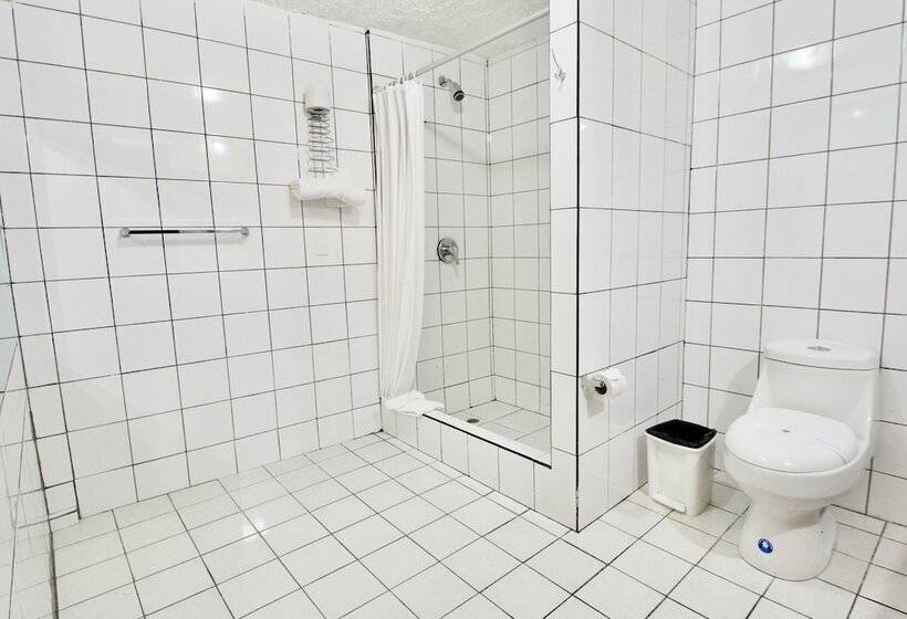 Трехместный Номер Superior, Santa Monica