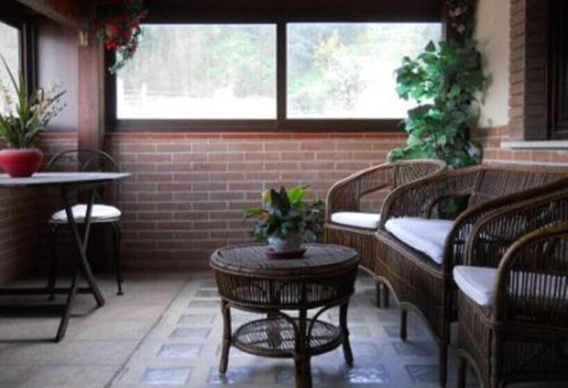 标准三人间, U' Bais