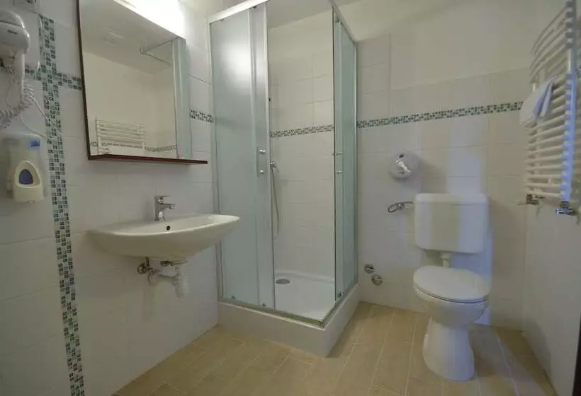 اتاق سوپریور یک تخته, Révész Hotel, Restaurant And Rosa Spa