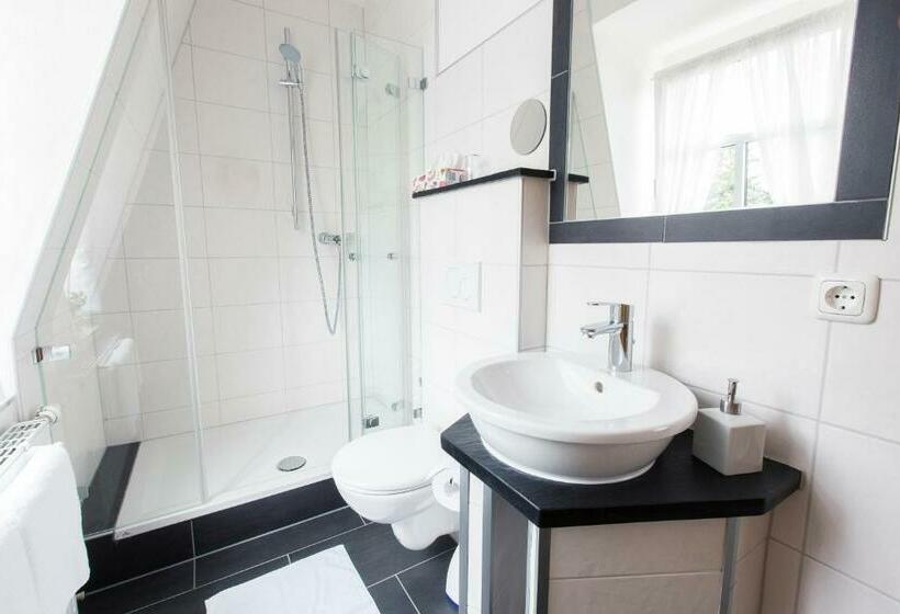 Номер Стандарт Индивидуальный, Villa Siegfried