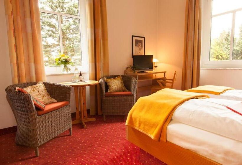 Номер Стандарт, Villa Siegfried