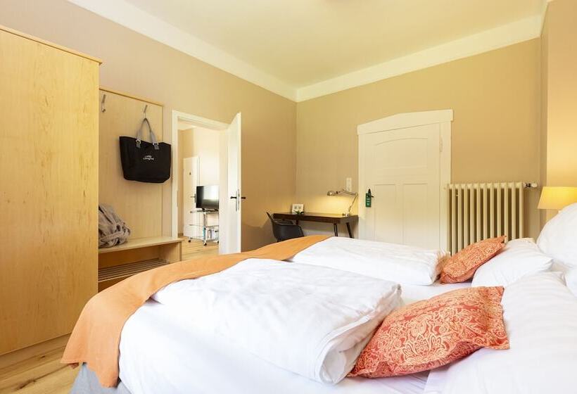 Люкс, Villa Siegfried