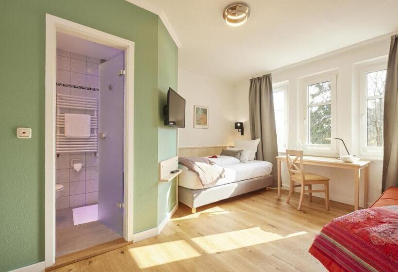 标准单人间, Villa Siegfried