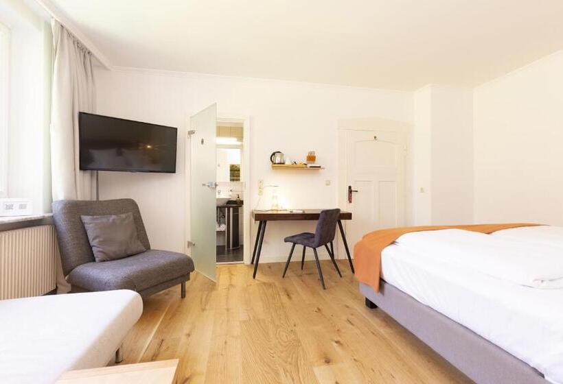 Номер Superior, Villa Siegfried