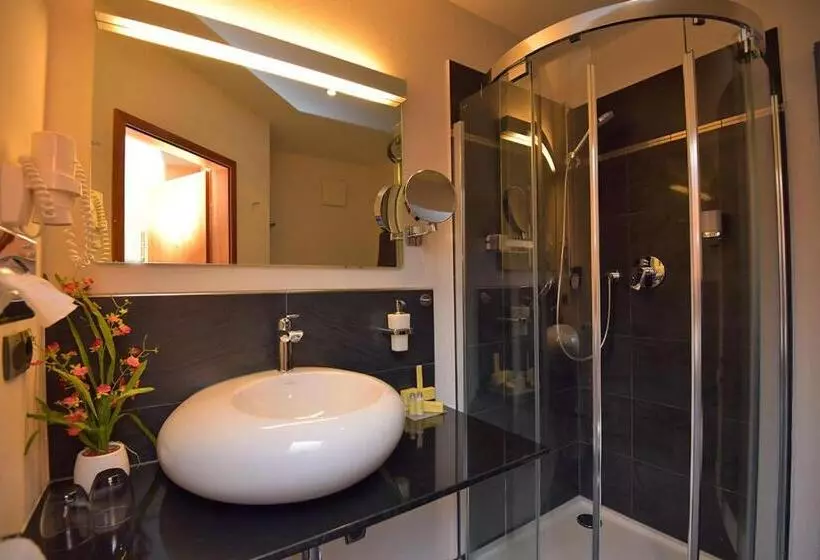 スタンダードシングルルーム, Altstadthotel An Der Werra