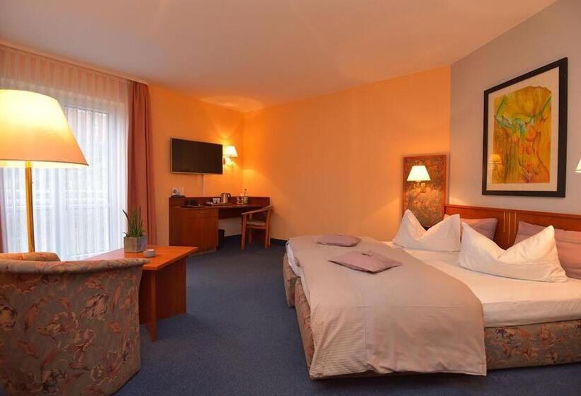 스탠다드 룸, Altstadthotel An Der Werra