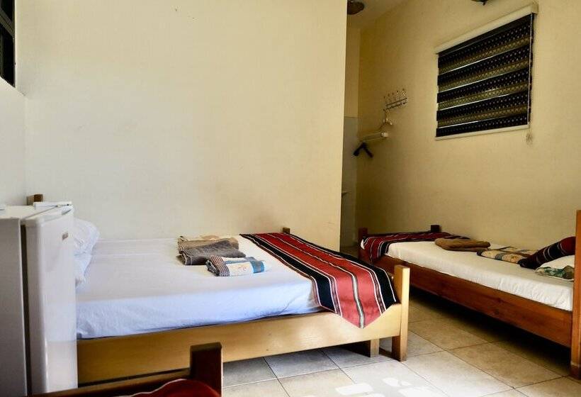 اتاق استاندارد, Bedouin Garden Village, Hotel Dive