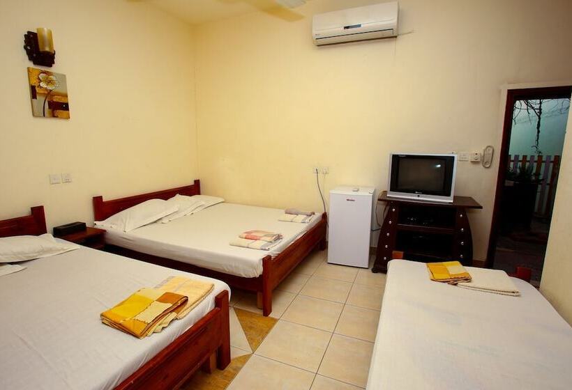 اتاق خانوادگی, Bedouin Garden Village, Hotel Dive