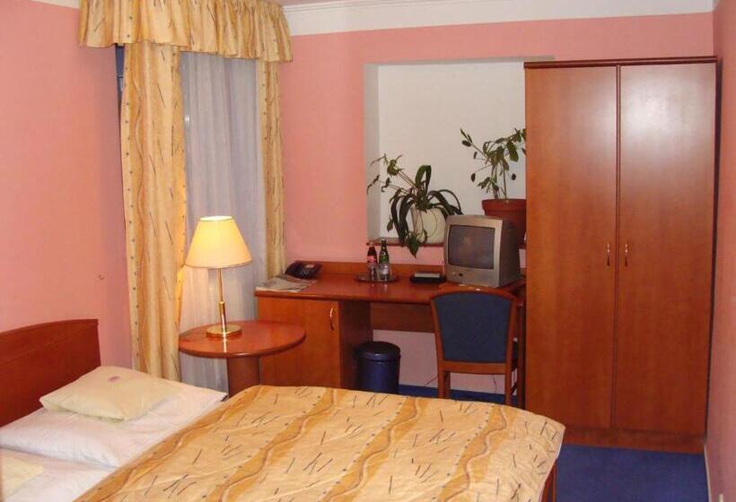 标准单人间, Anna Spa & Wellness Hotel Nejdek