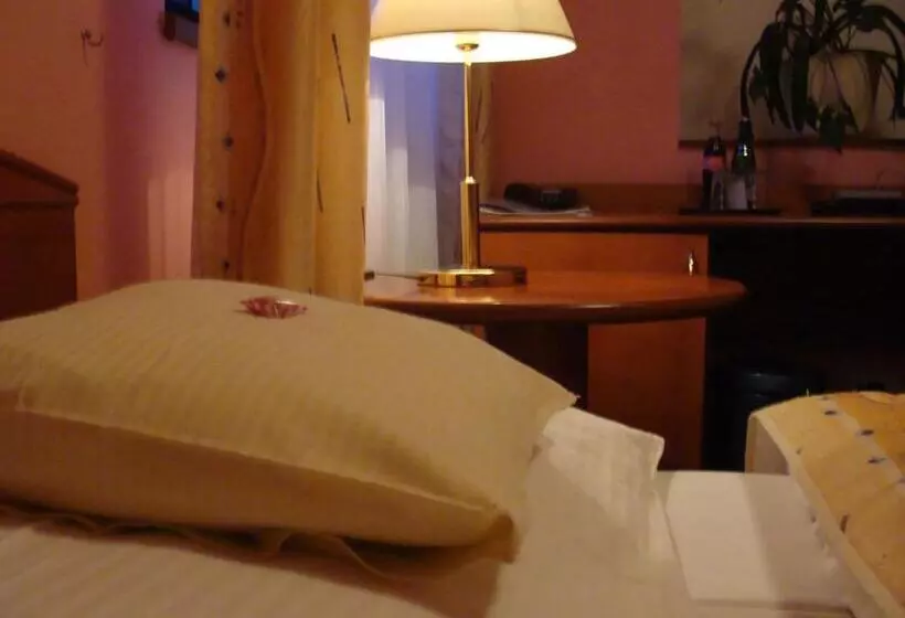 スタンダードシングルルーム, Anna Spa & Wellness Hotel Nejdek
