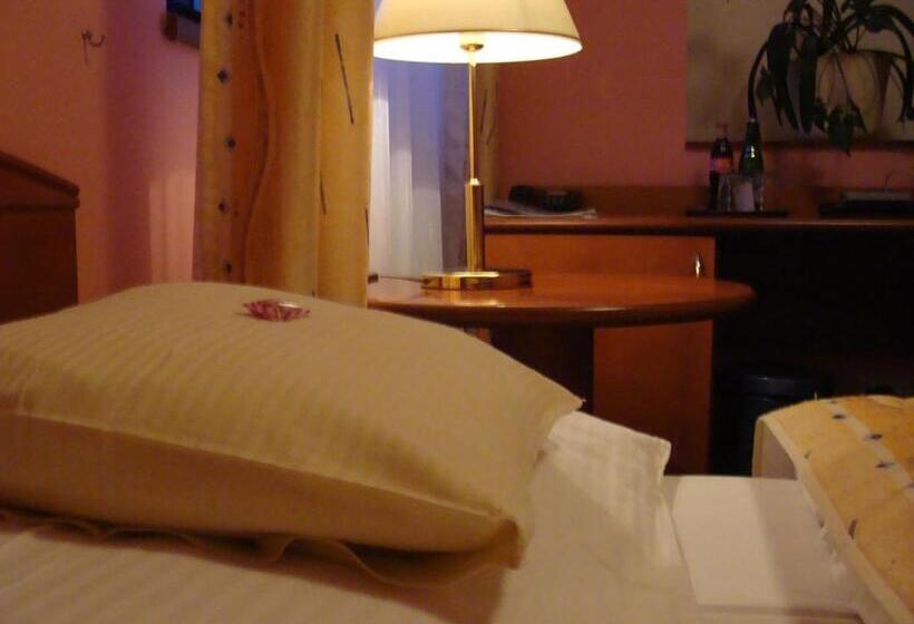 标准间, Anna Spa & Wellness Hotel Nejdek