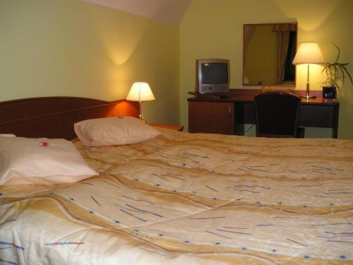 标准间, Anna Spa & Wellness Hotel Nejdek