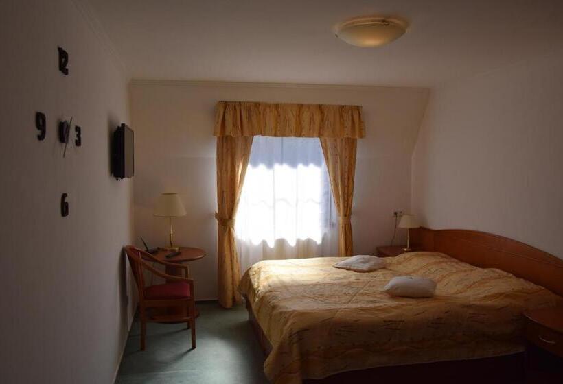 商务房间, Anna Spa & Wellness Hotel Nejdek