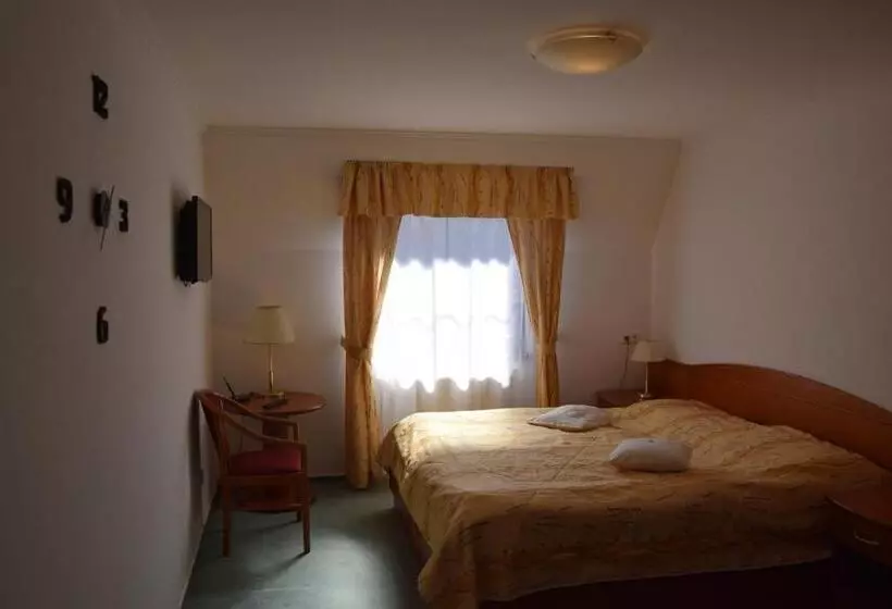 ビジネスルーム, Anna Spa & Wellness Hotel Nejdek