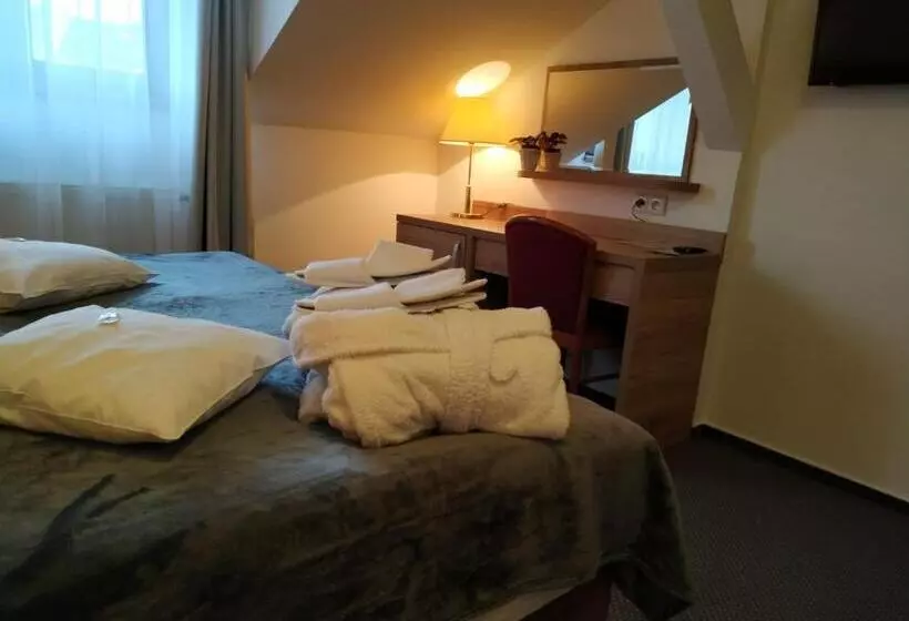 ビジネスルーム, Anna Spa & Wellness Hotel Nejdek