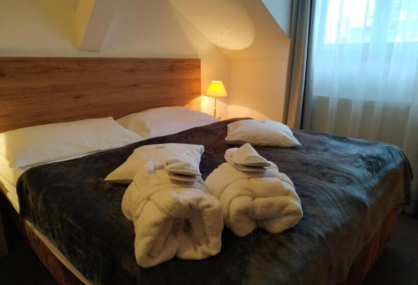 商务房间, Anna Spa & Wellness Hotel Nejdek