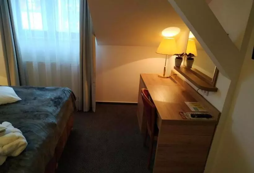 ビジネスルーム, Anna Spa & Wellness Hotel Nejdek