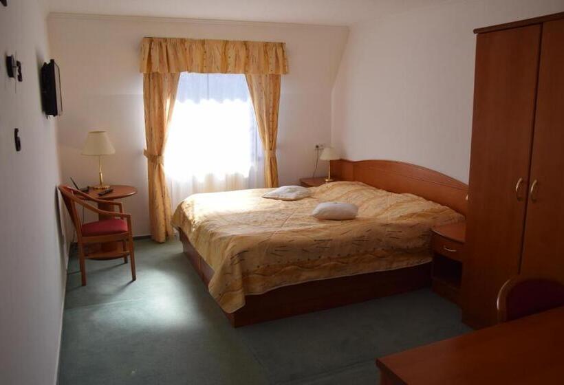 商务房间, Anna Spa & Wellness Hotel Nejdek